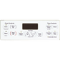 ⭐NEW! Stove Overlay Display Face Works With WB27T11278 164D8450G019 Oven Control ⭐ Fast Shipping!