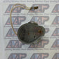 WB-5480 60C 125V 2.5W Timer Motor